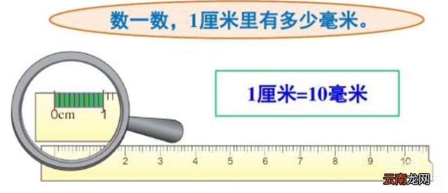 一厘米多长