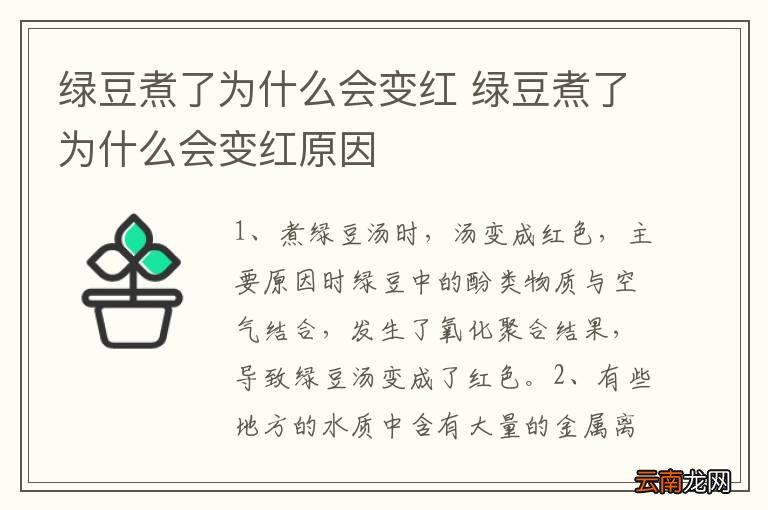 绿豆煮了为什么会变红 绿豆煮了为什么会变红原因