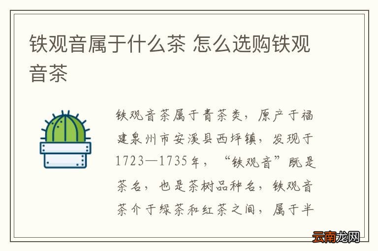 铁观音属于什么茶 怎么选购铁观音茶