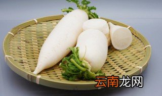 萝卜什么季节适合种植 萝卜适合什么时候种植