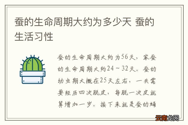 蚕的生命周期大约为多少天 蚕的生活习性