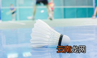 羽毛球大多是什么羽毛制成的 羽毛球是什么材料制成的