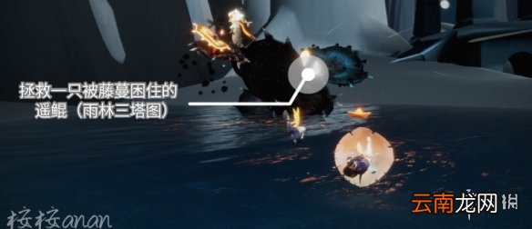 光遇11.29任务攻略 光遇11月29日每日任务怎么做