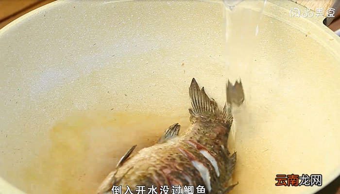 炖鱼汤的做法 炖鱼汤怎么做