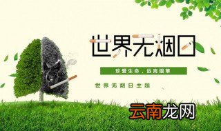 世界无烟日内容 世界无烟日基本内容简单介绍