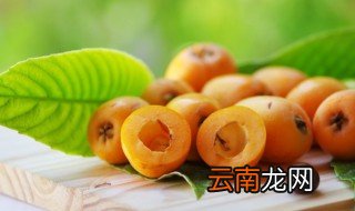 枇杷适合什么地方种植最好 枇杷适合什么地方种植