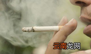 有关世界无烟日的内容 关于世界无烟日的内容