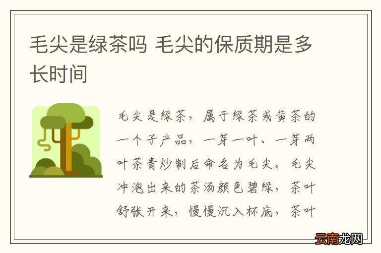 毛尖是绿茶吗 毛尖的保质期是多长时间