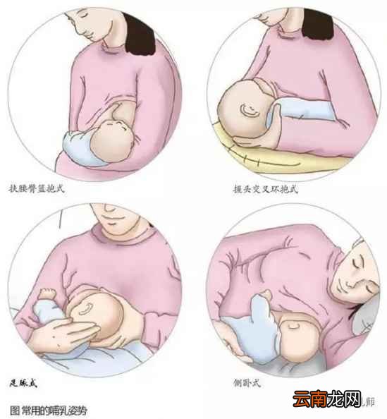 产后催奶应该怎么吃 你可别胡吃海喝