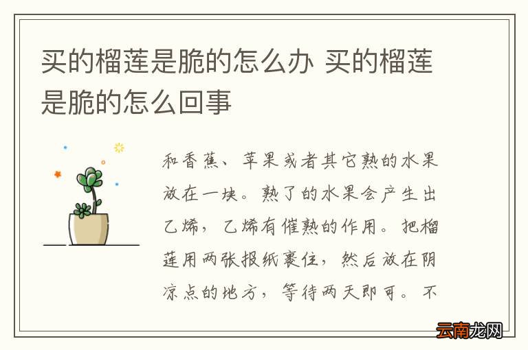 买的榴莲是脆的怎么办 买的榴莲是脆的怎么回事