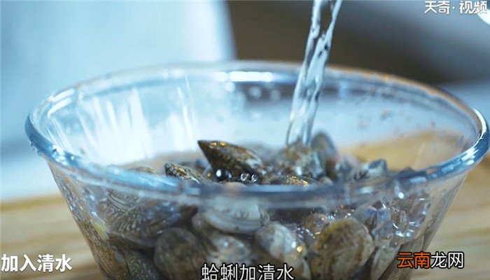 辣拌蛤蜊怎么做 辣拌蛤蜊的做法