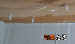 家里有白蚁怎么办 家里有白蚁如何解决