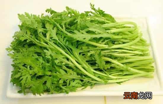 孕妇可以吃茼蒿吗 孕妇适量吃茼蒿能养胎