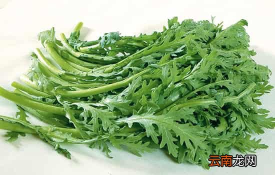 茼蒿不能和什么一起吃 这五种食物切忌同食