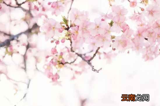 如何在产后消灭妊娠纹 这6个小妙招分享给大家