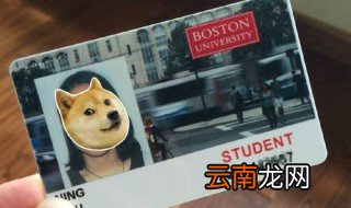 学生卡丢了怎么补办 学生卡丢了补办的方法