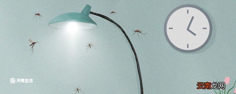蚊子为什么喜欢灯光 蚊子为什么喜欢灯光原因