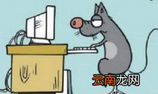 老鼠进家里怎么赶出去 方法介绍给大家