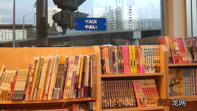 为了救日本耽美漫画，一位漫画家选择弃笔从政