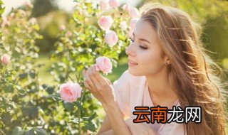微信昵称幸福简单的 微信昵称幸福