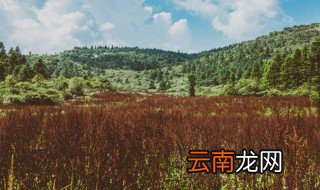 不负好时光经典句子 不负好时光经典句子有什么