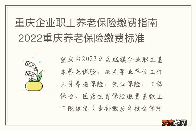 重庆企业职工养老保险缴费指南 2022重庆养老保险缴费标准