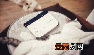 一看书就犯困怎么办 需要怎么改善