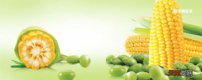 糯玉米煮多久能熟 糯玉米热量
