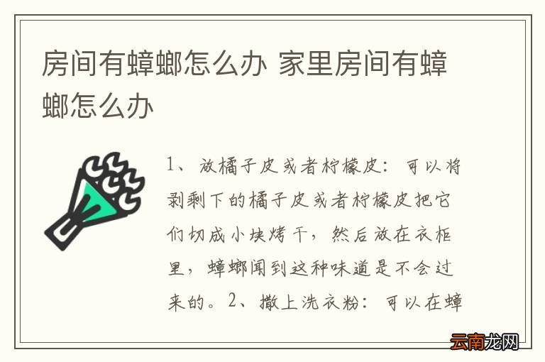 房间有蟑螂怎么办 家里房间有蟑螂怎么办