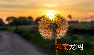 阳光开朗微信昵称大全 阳光开朗微信昵称大全女