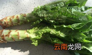 莴苣读音 莴苣的简介