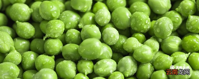 青豆要煮多久才熟 青豆是什么