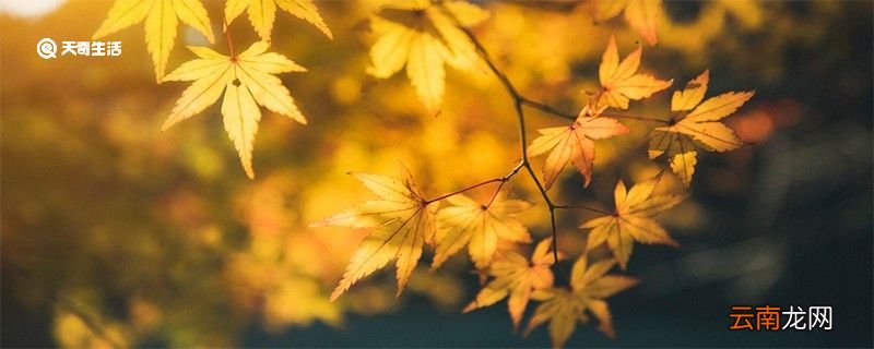中秋节的来历简单介绍 中秋节的习俗