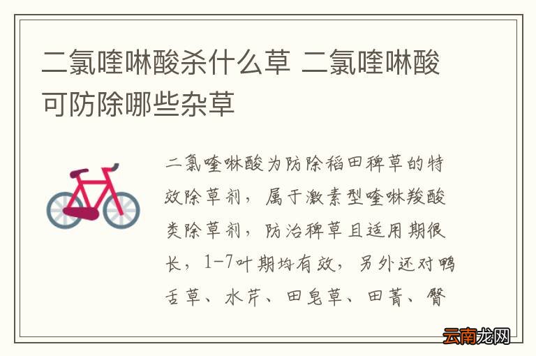 二氯喹啉酸杀什么草 二氯喹啉酸可防除哪些杂草