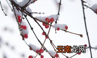 小雪节气推荐语 小雪节气有哪些推荐语