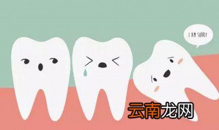 智齿是什么意思 智齿的意思