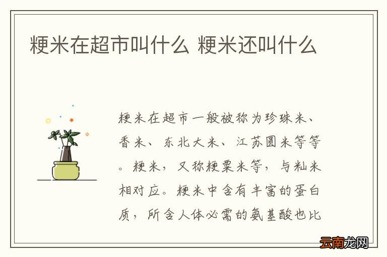粳米在超市叫什么 粳米还叫什么