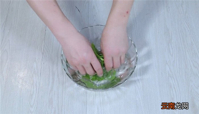 木耳菜肉粥的做法 木耳菜肉粥怎么做