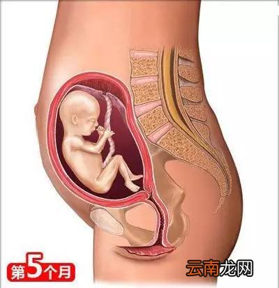 孕妈需要知道的知识 这26点你需了解下