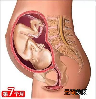 孕妈需要知道的知识 这26点你需了解下