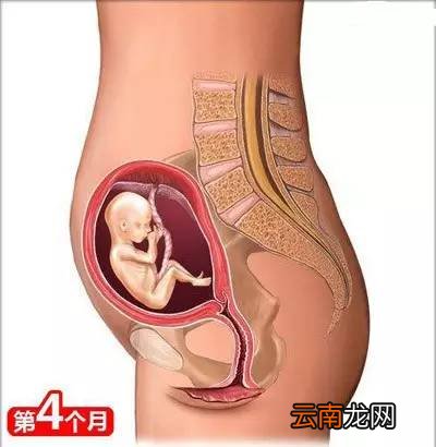 孕妈需要知道的知识 这26点你需了解下