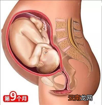 孕妈需要知道的知识 这26点你需了解下