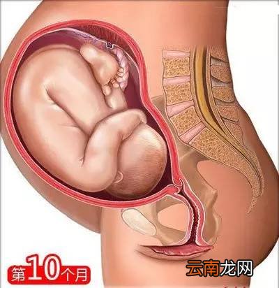 孕妈需要知道的知识 这26点你需了解下