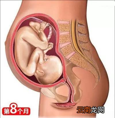 孕妈需要知道的知识 这26点你需了解下