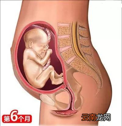 孕妈需要知道的知识 这26点你需了解下