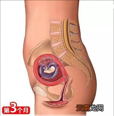 孕妈需要知道的知识 这26点你需了解下