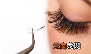 种睫毛是怎么种的 种睫毛的方法