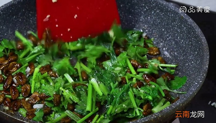 香菜炒蚕蛹怎么做 香菜炒蚕蛹的做法
