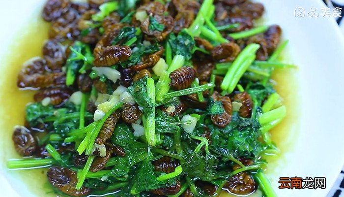 香菜炒蚕蛹怎么做 香菜炒蚕蛹的做法
