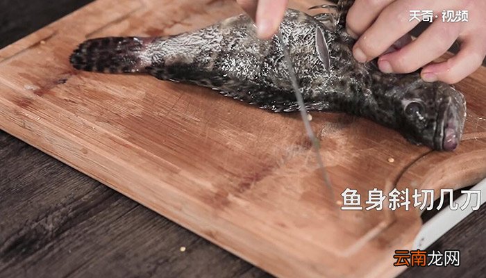 清蒸石斑鱼的做法 清蒸石斑鱼怎么做